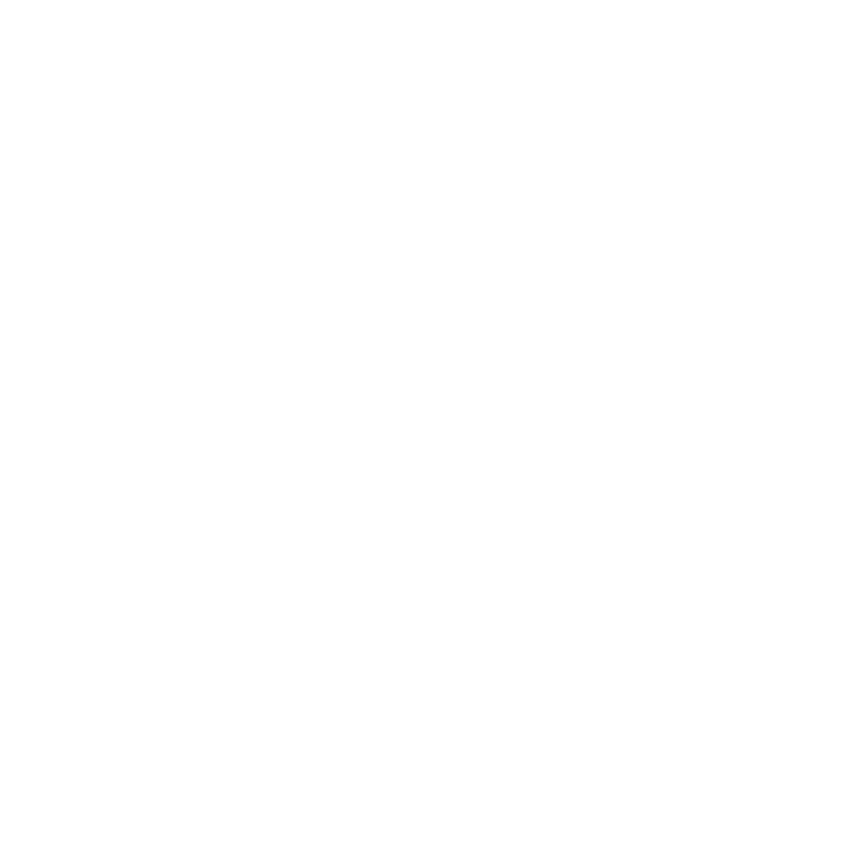 York Storage logo